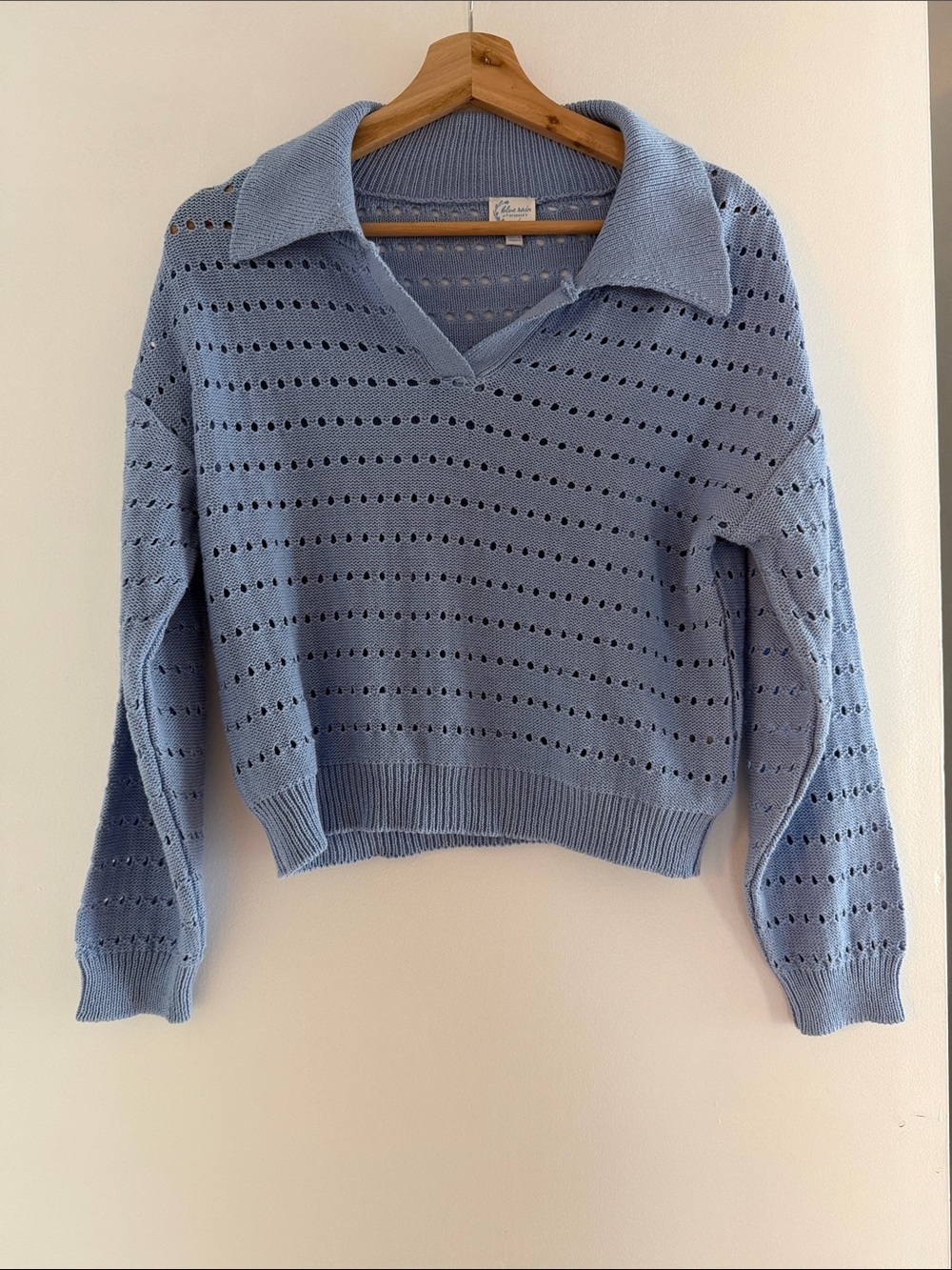 Blue Rain x Francesca’s Pullover Sweater Women's Extra Small Blue Open Knit